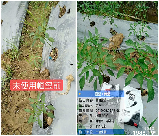 �îa(ch��n)Ʒ����������һ�t���΢������������t���͑��挍(sh��)������