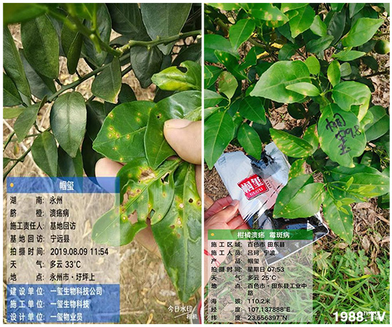 �îa(ch��n)Ʒ����������һ�t���΢������������t���͑��挍(sh��)������