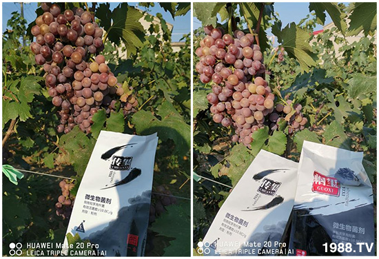 �îa(ch��n)Ʒ����������һ�t���΢������������t���͑��挍(sh��)������