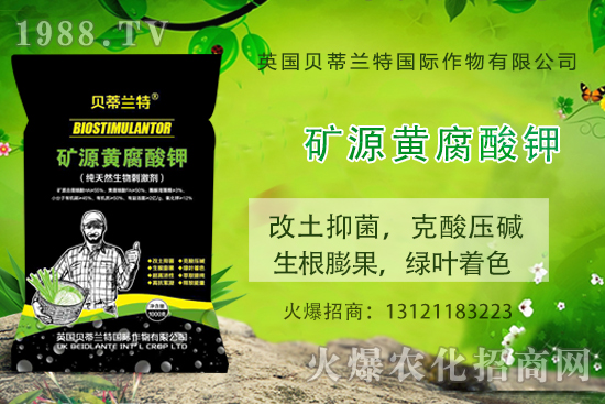 ���ÿ���ô�B(y��ng)�����ÿ��B(y��ng)ֳ������ע�����(xi��ng)��