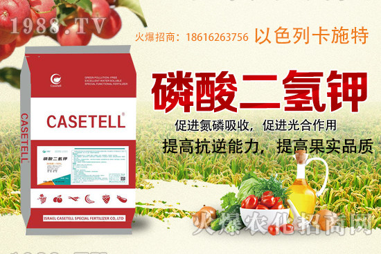  ����������ʲô���ϣ������������ü�ʹ�÷�����