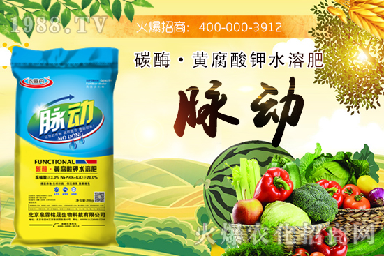 ̼ø���S�����ˮ�ܷ���ʲô��Ч��̼ø���S�����ˮ�ܷ�����Щ��˾���a(ch��n)�ģ�