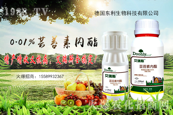 �|̦�؃�(n��i)֬