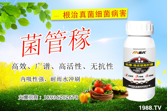 ���䝢��Σ����ʲô�����䝢�������Ά�������ˎ������Щ��