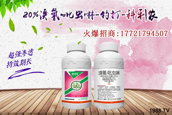 �������x���l(f��)̫���������x��ô��Ч���������x���η�������Щ��