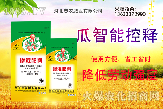 �������������Щ������ʵ�ʹ�÷�����ԓ����xُ��