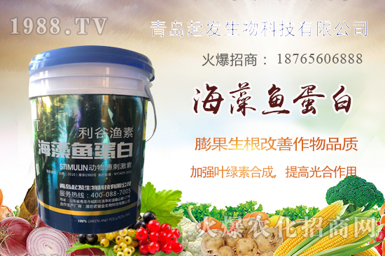 �߲˶�ֲ��ξ�������߲������`�^(q��)����Щ���߲�������������]��