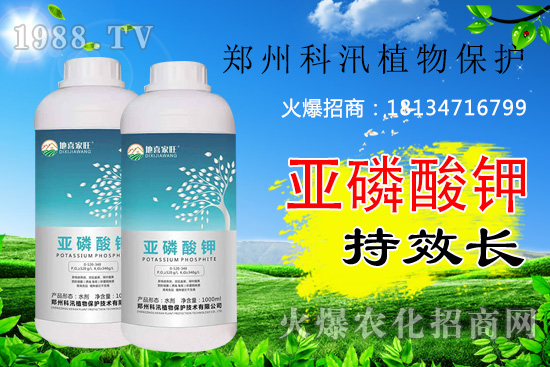 ������⛹�Ч�������C������Щ������������õĺ������