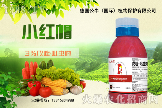 С����N�����a(ch��n)��С����N����x�أ�С����NƷ���x����