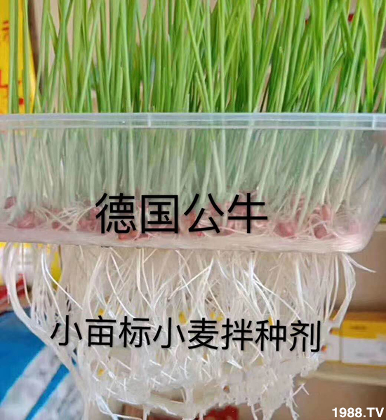 С����N�����a(ch��n)��С����N������x����С����N��Ʒ���x����