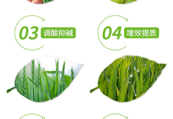 �VԴ�S�����-��ɫ����-��(��i)�r(n��ng)˹�_(d��)_05