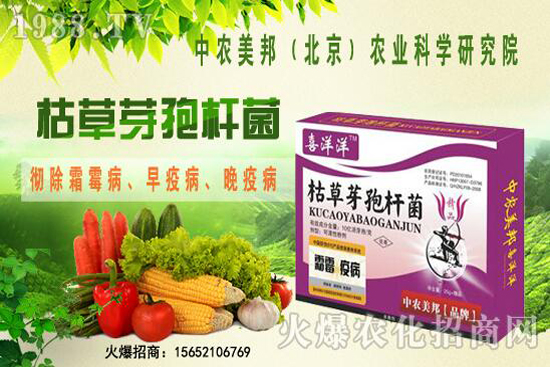 �ݲ�ѿ�ߗU���θ���������������Щ�������������Ό�(du��)������Щ��