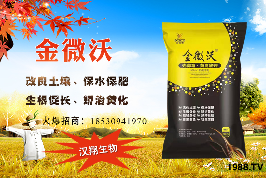 ����ͥԺ���ԷN���ц�������ʲô�r��N����ô�Nֲ��