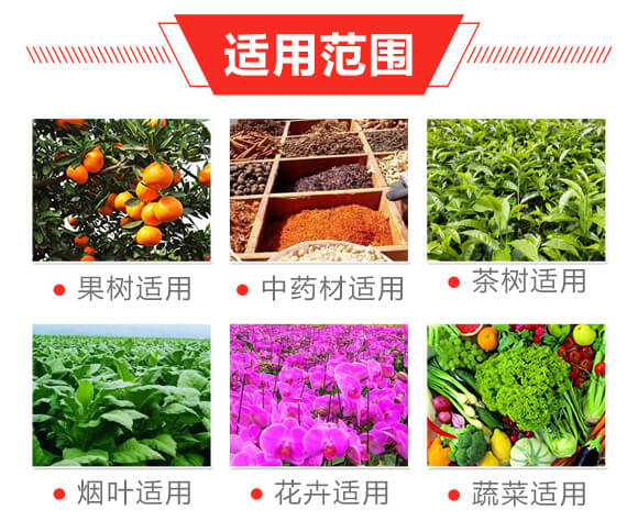 20%���衤���x����200ml��-��ϲ-�����_(d��)_04