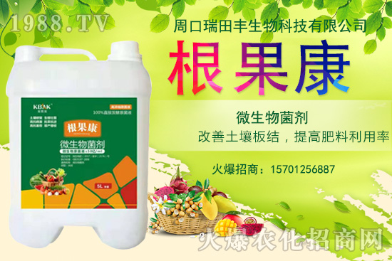 ���؃r(ji��)��