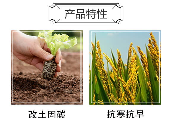 �VԴ�S�����-�ڽ��-��С��_05