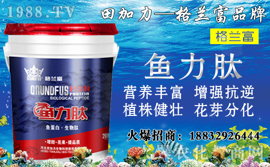 ���䌦�B(y��ng)���������c����Щ������ʩ���`�^(q��)�����_ʩ�ʷ�����