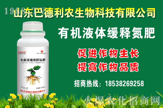 ���������Xһ�����Nֲǰ����Σ����Nֲ�ɱ�������������