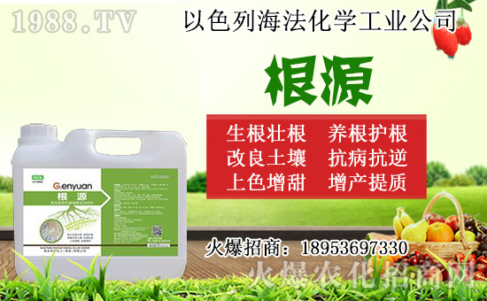 �o(w��)������ôǤ�壿�o(w��)����Ǥ��r(sh��)�g��Ǥ�己ֳ������