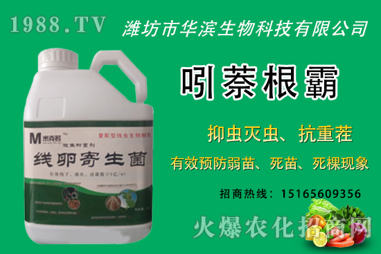 �o�����NֲʲôƷ�N�^�ã��o����Ƥ���ԳԆ����Nֲǰ��������