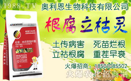 ���[���ʩ�������[�Nֲ���������N�r�g��