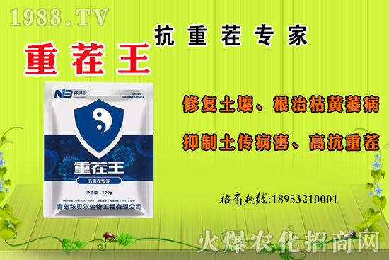 ɽ��ʲô����(ji��)���죿ɽ�����Ҫ�a(ch��n)������������ôʳ����