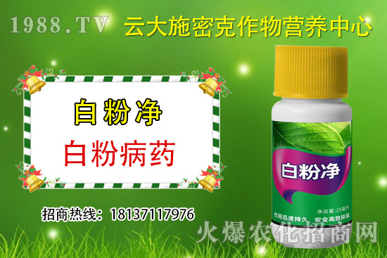 ʲô��ֲ��Դ�r(n��ng)ˎ��ֲ��Դ�r(n��ng)ˎ�c���W(xu��)�r(n��ng)ˎ�^(q��)�e���ģ�