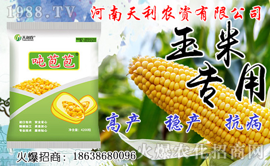 �N�˅������ג겻���X���Nֲǰ����Σ��˅����N����ô�N��