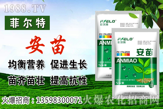 ���\�����L���h(hu��n)����Ҫ�������\���Nֲ�����ռ��g(sh��)��