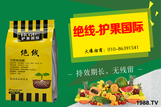 �Ә����L�l������Щ���Ә�����������g(sh��)��