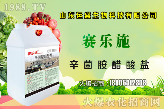 �����Ә���ڷ۷����������Ә���ζ�������