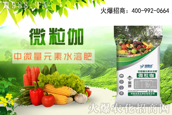 ����ԓ��ô��������������r(sh��)�g������ע��Ҫ�c(di��n)��