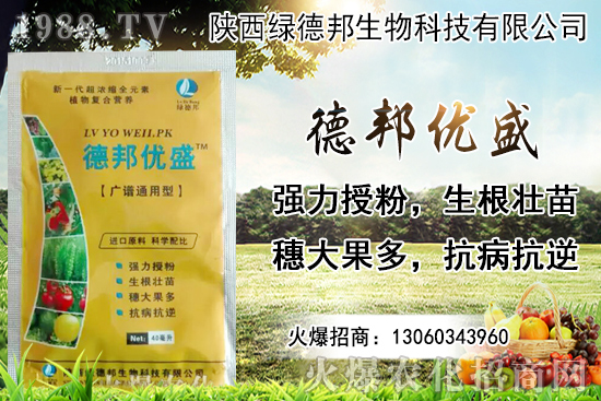 �����r(ji��)������Xһ���������Nֲ�ĭh(hu��n)�������x������