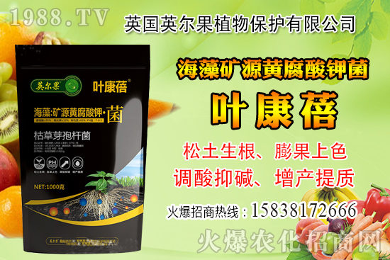 ��ô�Д����׺�ˮ��������������ˮ���й��ж���(j��ng)�(y��n)��