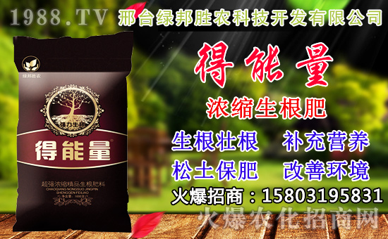 2020��С���N������x���߮a(ch��n)С��Ʒ�N����Щ��