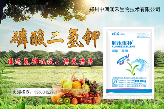 ����(sh��)һ���굽��ԓ��ôʩ��������(sh��)ʩ��ע�����(xi��ng)����Щ��