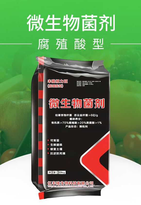 ΢�������-�S¡����������ֳ���ͣ�-�|�S¡_01