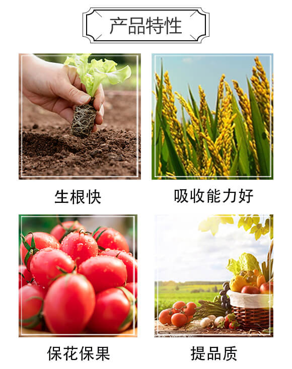 ���������ֲ��ˮ�ܷ�-������-���_(d��)�r(n��ng)��_02