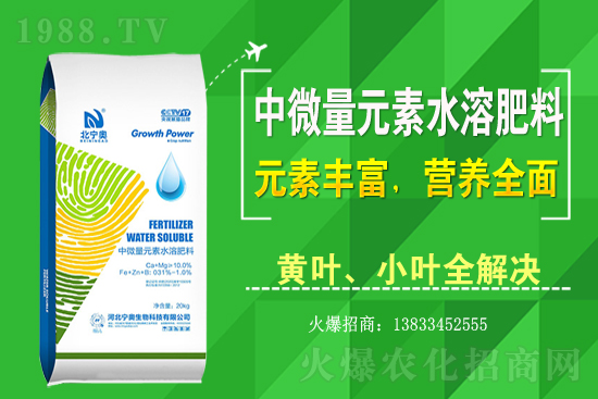 �S����ԓ��ô�Nֲ���S���˷Nֲ�^����ע����Щ���}��