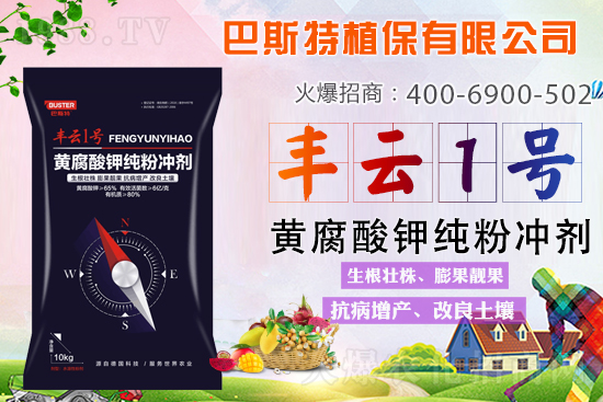 ������Y(ji��)/�}�n��/�ữ�y��Q�������S����⛼��ۄ���