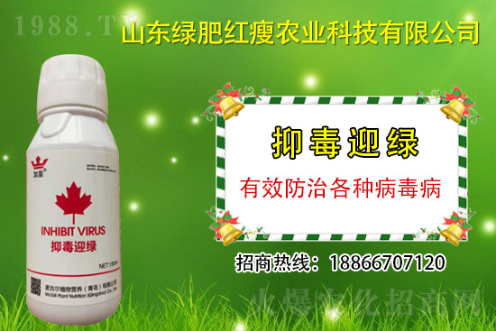 ���β�������Ҳ���ðΣ����ֶ�ӭ�G�����β�������