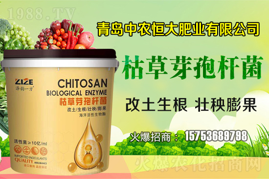 �ݲ�ѿ�ߗU������ǡ����С������ݲ�ѿ�ߗU�����w�������˽�᣿