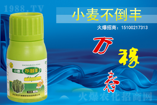 С��������ô����߀������С�������S!