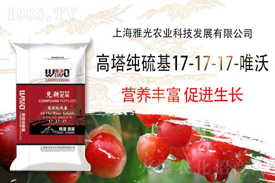 �ͺϷ��Ј��r��10��30�ՏͺϷʃr������