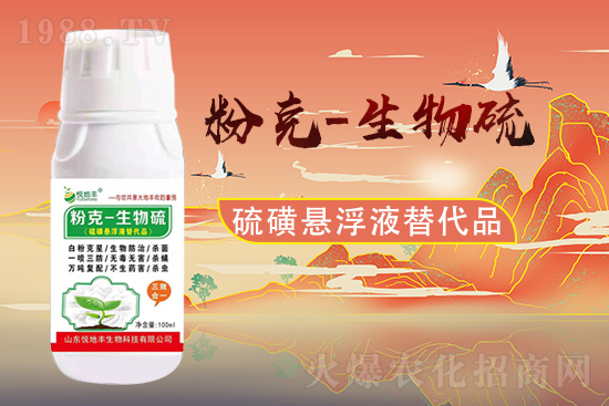 ɽ�|�����S�m(x��)�s1988.TV�����\�����°l(f��)չ