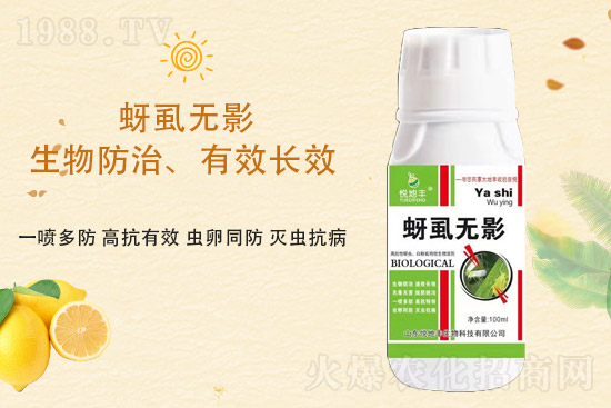 ɽ�|�����S�m(x��)�s1988.TV�����\�����°l(f��)չ