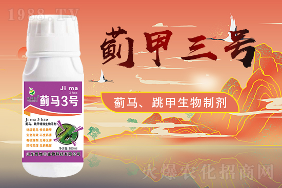 ɽ�|�����S�m(x��)�s1988.TV�����\�����°l(f��)չ