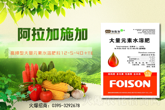 2��6��ȫ��С����r��С���r��ͻ��1.57Ԫ/��