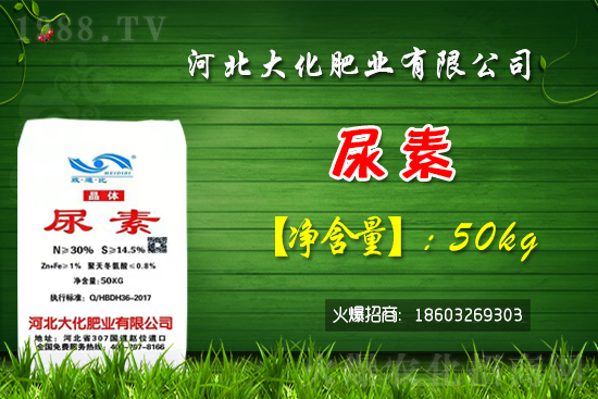 �t��������������Xһ�����Nֲǰ����Σ�