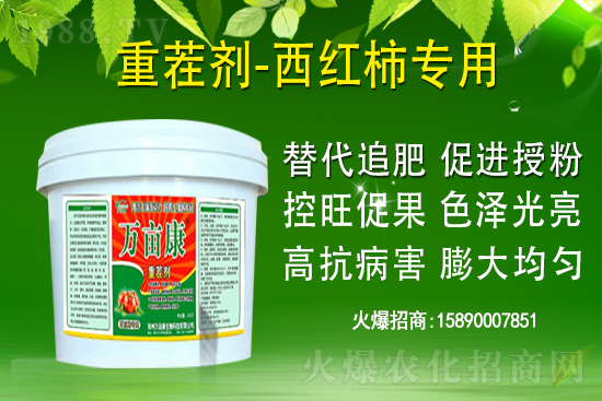 ��ʲô������ҽ��h�������@�}�������h��������